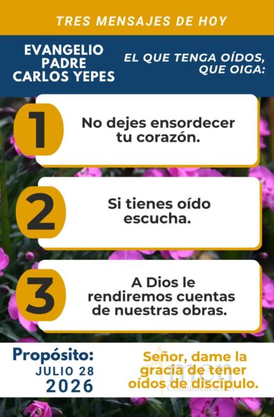 Evangelio de hoy - 28 de julio 2026 - amen comunicaciones
