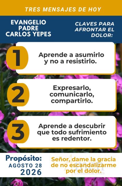 Evangelio de hoy - resumen - 28 de agosto 2026 - amen comunicaciones