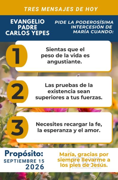 Evangelio de hoy - resumen - 15 de agosto 2026 - amen comunicaciones