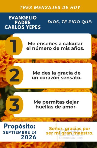 Evangelio de hoy - resumen - 24 de agosto 2026 - amen comunicaciones